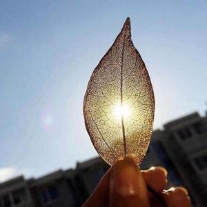 🍃 Lovely Boho Metallic Leaf necklace in various colors 🍃